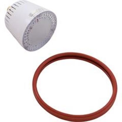 Picture of Replacement Bulb Purewhite 2 Pool 115V 45W Led Lpl-P2-Wht-120 