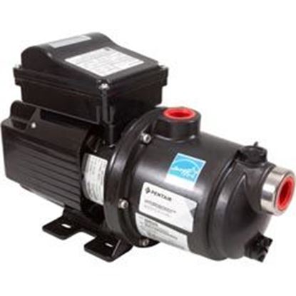 Picture of Pump Boosterpentair Hydroboost0.8Thp115/230V1-Spdtefc 360526 