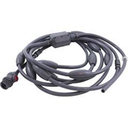 Picture of Hose Kit Pentair Letro Ll105Pm Cleaner Gray Ll209Pmg 