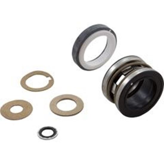 Picture of Shaft Seal Pentair C/Cc/D Series Buna U109-433Ss 