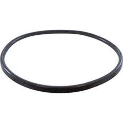 Picture of Gasket Cln/Clr/Quantum Manifold 16-3/8"Id 17-5/8"Od 57000300 