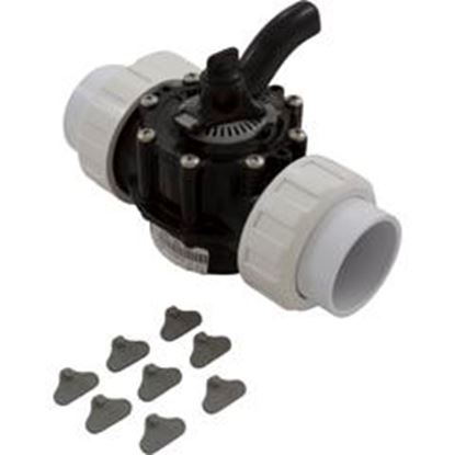 Picture of Diverter Valve 2In Unions 2-Way Black 25922-204-000 