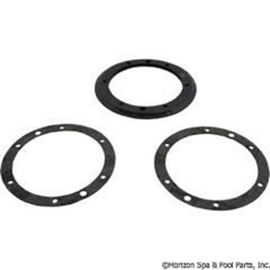 Picture of Light Niche Gasket Kit Pentair Aqualight W/Gasket Ss 79207900 