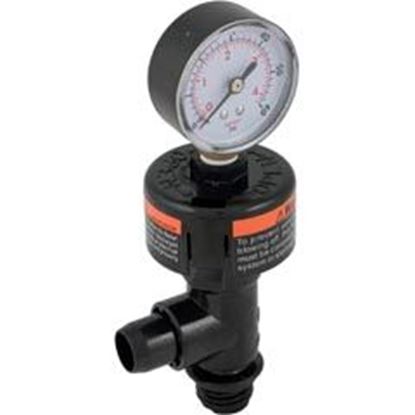 Picture of Pressure Gauge Assypentair Smbw1/4"Mpt0-60Psibttm Mount 073027 
