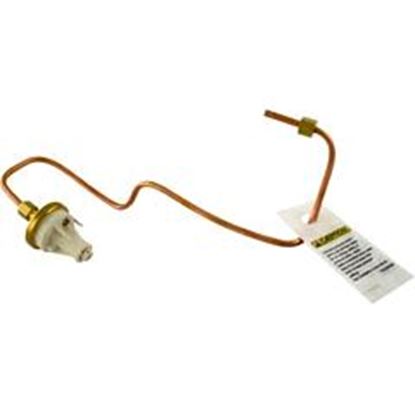 Picture of Pressure Switch Zodiac Jandy Lxi Low Nox With Tubing R0457000 