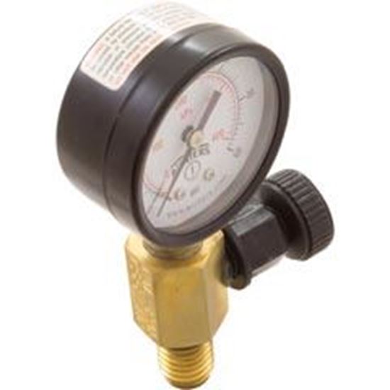 Picture of Pressure Gauge/Air Release Assy Jandy Cv Seriesbm Generic V55-110 