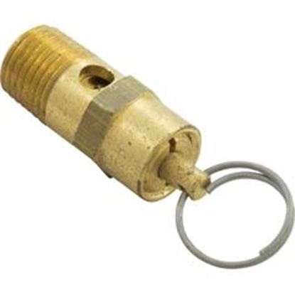 Picture of Pressure Relief Valve Pentair Eq Series 1/4" 350087 