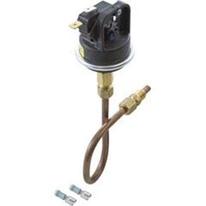 Picture of Pressure Switch Raypak 53A With Tubing 003651F 