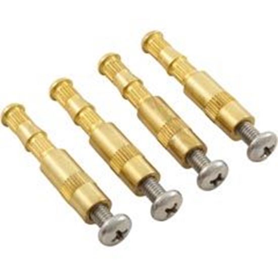 Picture of Main Drain Brass Insert Aquastar With Screw Quantity 4 Bik4 