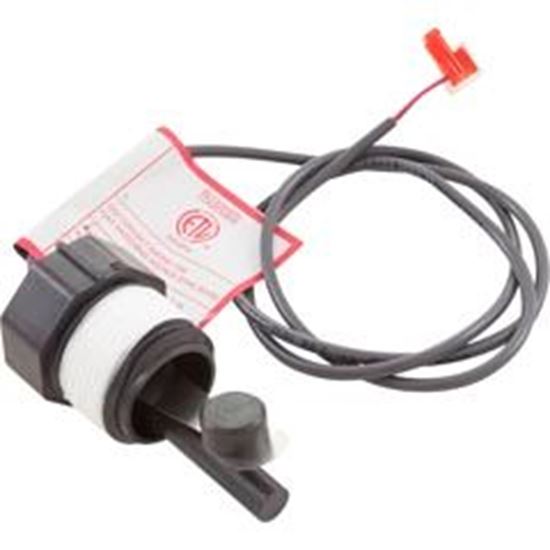 Picture of Flow Switch Dimension One 3/4" 1710-131 