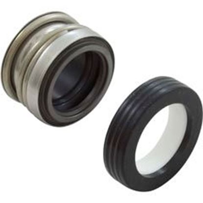 Picture of Shaft Seal Pentair Eq/C Series All Models 071725S 