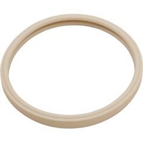 Picture of Gasket Pentair Amerlite Light Lens 8-3/8" 79101600Z 