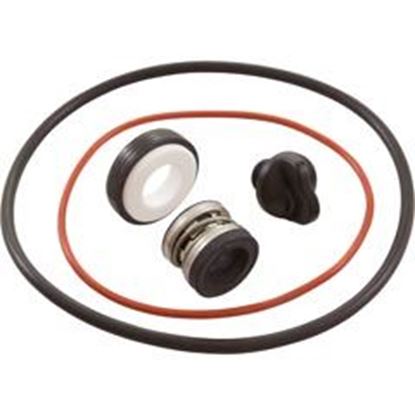 Picture of Seal Replacement Kit Zodiac Polaris Pb4Sq W/ Drain Plug R0734300 