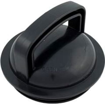 Picture of Trap Lid Pentair Pacfab Challenger/Waterfall Black 354112 