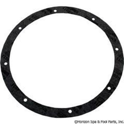 Picture of Light Niche Gasket Kit Pentair Amerlite 8-Hole Vinyl 79200300 