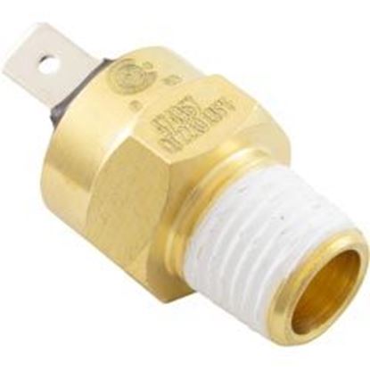 Picture of Hi-Limit Switchpentair Max-E-Therm/Mastertemp1/4" - 18Npt 42001-0063S 