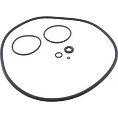 Picture of O-Ring Kit Zodiac Jandy Cs Series R0466300 