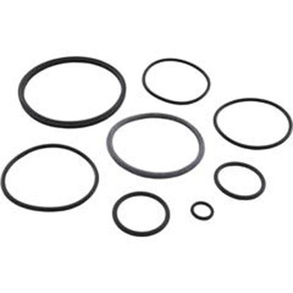 Picture of O-Ring Kit Zodiac Nature2 Fusion R0502500 