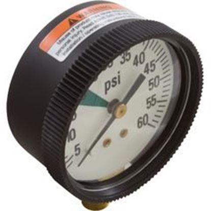 Picture of Pressure Gauge Zodiac Ray-Vac/Dm Hose 60 Psi Bottom Mount R0377700 