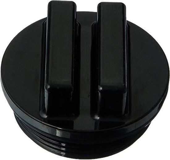 Picture of 2" Threaded Plug With O-Ring  SP1022C2BLK