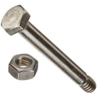 Picture of Pentair Nut & Bolt |R201496