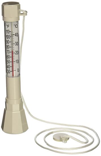 Picture of Pentair Thermometer |R141200