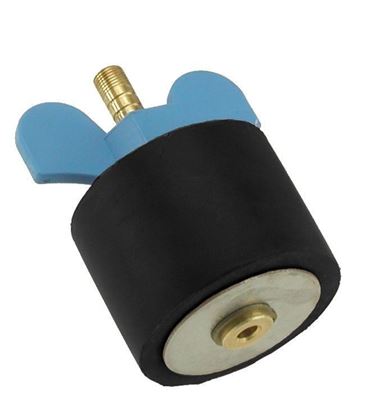 Picture of Standard Open Plug 2-1/2In Threads | O75