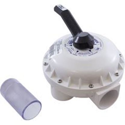 Picture of Multiport Valve Pacfab/Pentair DE Filter 2" 261049