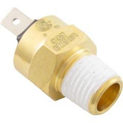 Picture of Hi-Limit SwitchPentair Max-E-Therm/MasterTemp1/4" - 18npt 42001-0063S