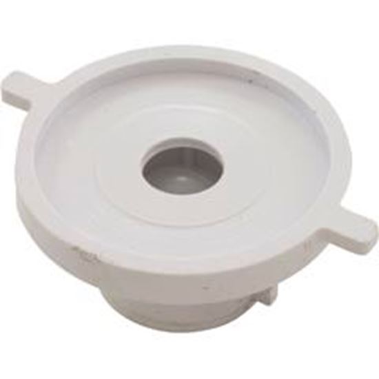 Picture of Check Valve Assembly CMP PowerClean Mini Chlorinator 25280-000-920