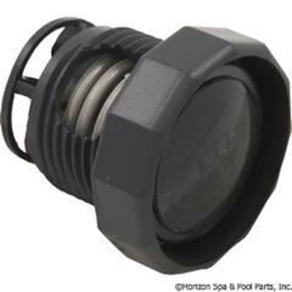 Picture of Pressure Relief Valve Zodiac Polaris 360 Black 9-100-3011