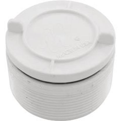 Picture of Hydrostatic Relief Valve Waterway 2" mpt White 600-2140