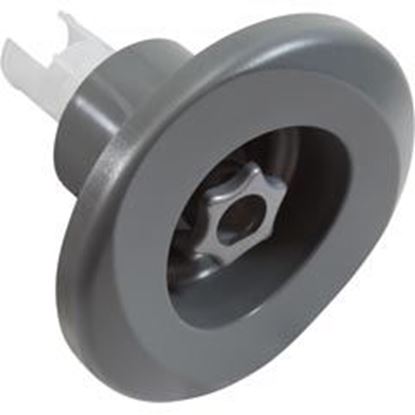 Picture of Jet Intl Jacuzzi PowerPro LX 5-1/4"fd Roto Gray 2007+ 6541-470