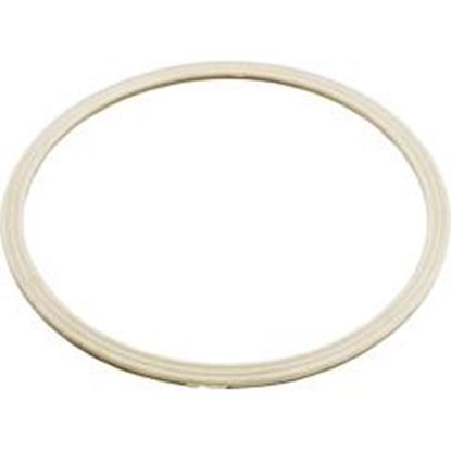 Picture of Grommet Gasket-Dyna Flo Skim Filter 711-8010