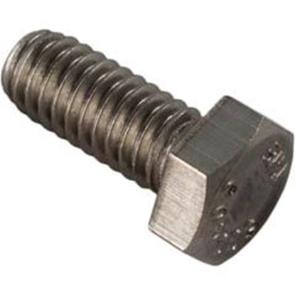 Picture of Bolt Pentair Minimax/Minimax Plus/PowerMax 18-5/16" x 3/4" 073725