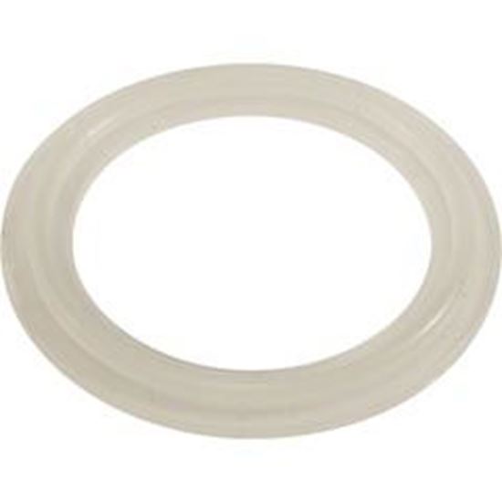 Picture of O-Ring/Gasket Waterway 2-1/2" Pump Union/Heater 711-6020