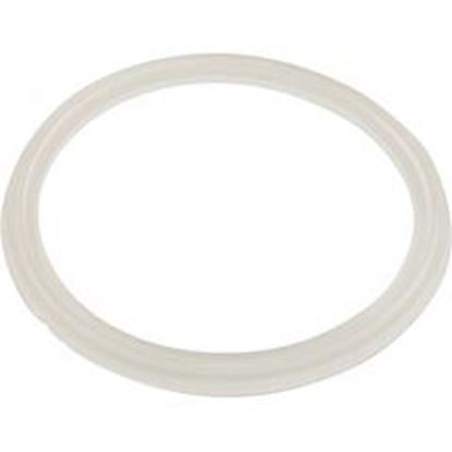 Picture of Gasket O-Ring Waterway Mini Storm 711-6910