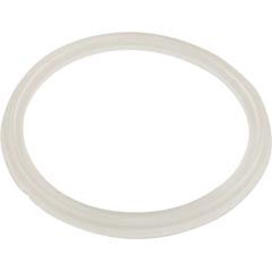 Picture of Gasket O-Ring Waterway Mini Storm 711-6910