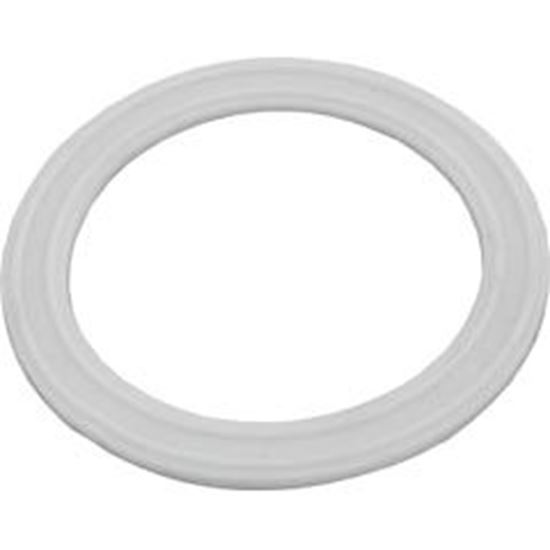 Picture of Gasket Waterway Deluxe Strip Skimmer Wall Fitting 711-4350