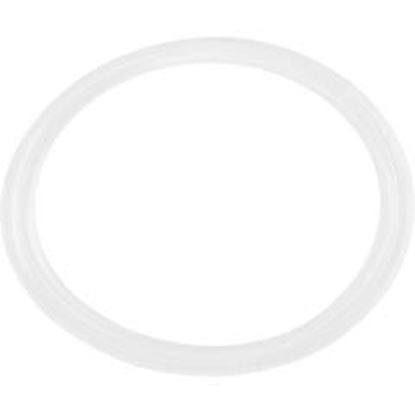 Picture of Flat Gasket 1" Diverter Valve 711-4310