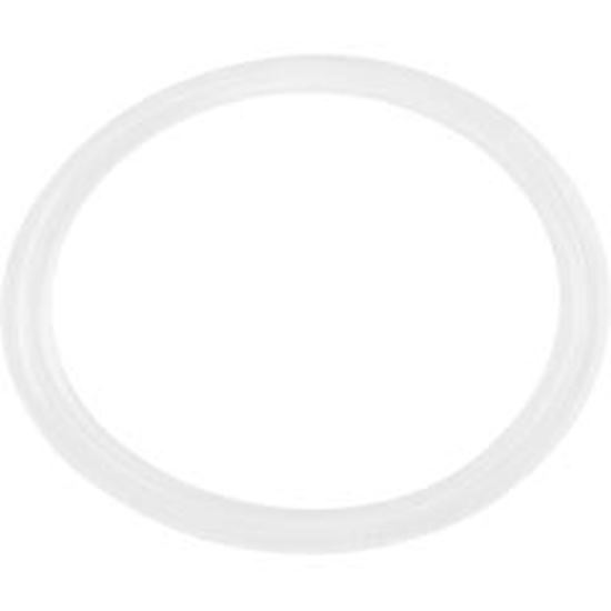 Picture of Flat Gasket 1" Diverter Valve 711-4310