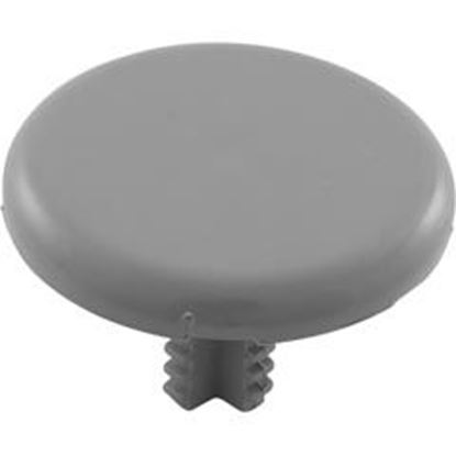 Picture of Air Injector Cap WW Low Profile 1-3/4"fd Gray 672-2137