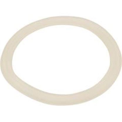 Picture of Bath Cf Safety Suction Gasket 711-5080