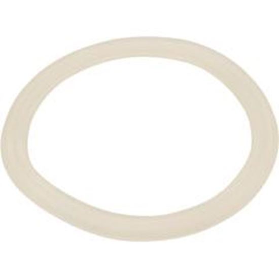 Picture of Bath Cf Safety Suction Gasket 711-5080